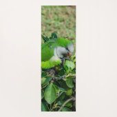 Groene papegaai yogamat (Achterkant)