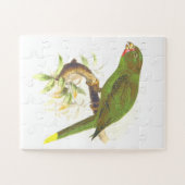 Groene papegaaiachtige vogel op een boomvertakking legpuzzel (Horizontaal)