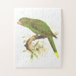 Groene papegaaiachtige vogel op een boomvertakking legpuzzel