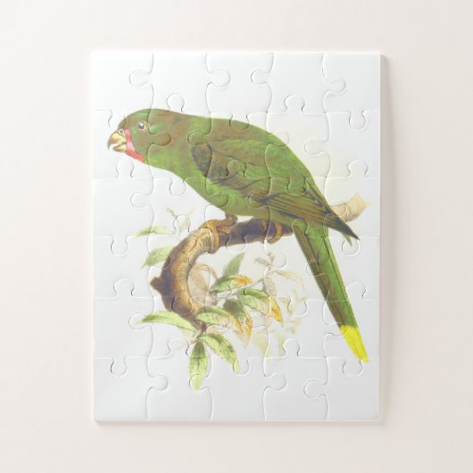 Groene papegaaiachtige vogel op een boomvertakking legpuzzel (Verticaal)