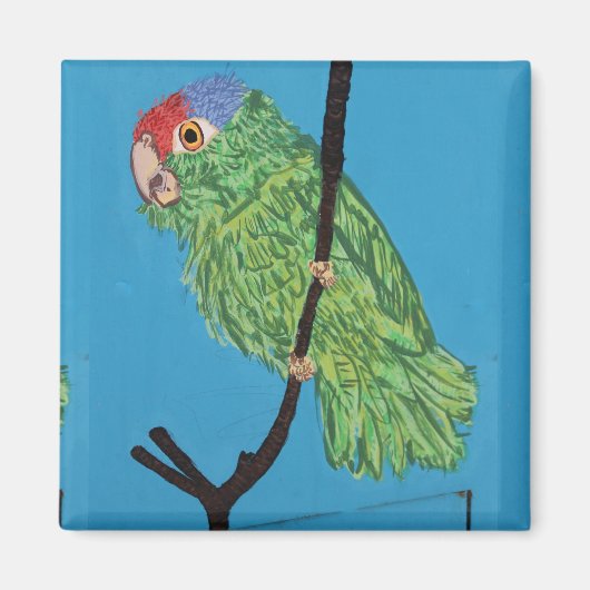 groene papegaaimagneet magneet (Voorkant)