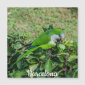 Groene papegaaimagneton (Voorkant)