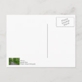 Groene Paradijs Briefkaart (Achterkant)