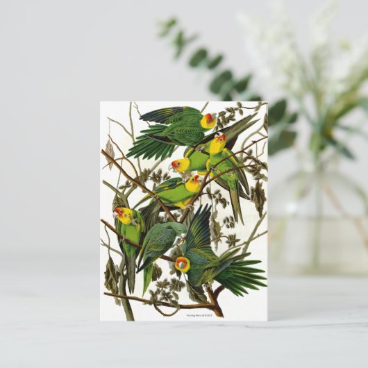 Groene Parakeets Parrots Briefkaart (Staand voorkant)