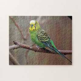  groene paraket foto legpuzzel