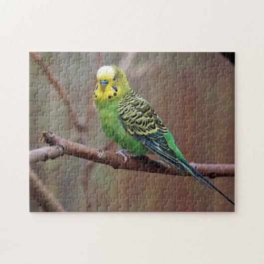 groene paraket foto legpuzzel (Horizontaal)