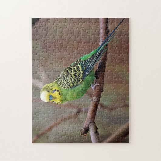 groene paraket foto legpuzzel (Verticaal)