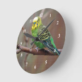  groene paraket foto ronde klok (Hoek)