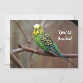  Groene Parkiet Foto Verjaardag Kaart (Voorkant)