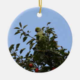 Groene parkiet keramisch ornament