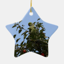 Groene parkiet keramisch ornament