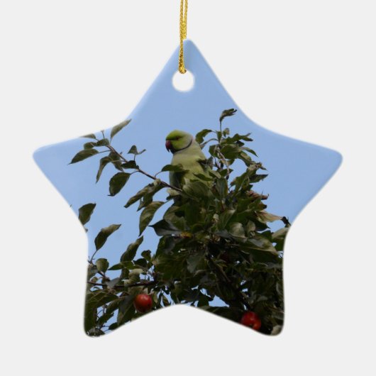 Groene parkiet keramisch ornament (Voorkant)