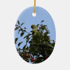Groene parkiet keramisch ornament