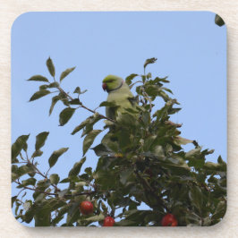Groene parkiet onderzetter