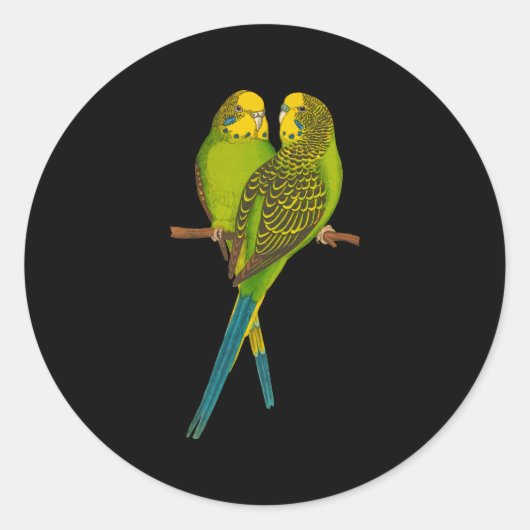 Groene parkiet parkieten Budgie Bird Ronde Sticker (Voorkant)