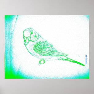 Groene Parkiet Portret Poster