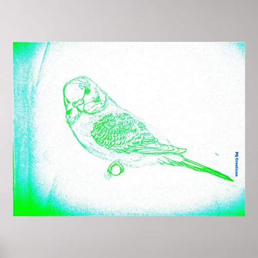 Groene Parkiet Portret Poster (Voorkant)