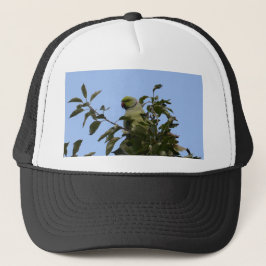 Groene parkiet trucker pet