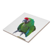 Groene Parrot keramische Tegel Tegeltje (Zijkant)