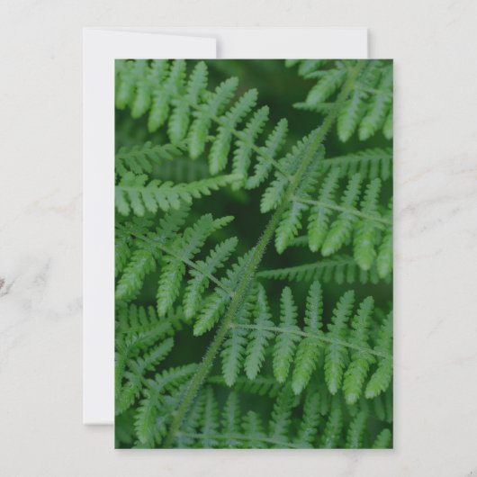 groene partij voor de Natuur van varens Kaart (Achterkant)