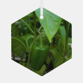 Groene Peppers Glas Ornament (Achterkant)