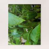 Groene Peppers Legpuzzel (Verticaal)