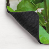 Groene Peppers Muismat (Hoek)