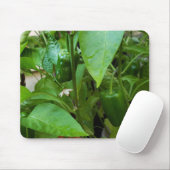 Groene Peppers Muismat (Met muis)