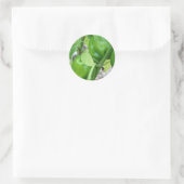 Groene Peppers Tuin Natuur Foto Sticker Label (Tas)