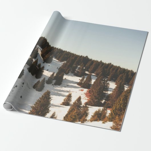 GROENE PIJNBOMEN CADEAUPAPIER (Uitgerold)