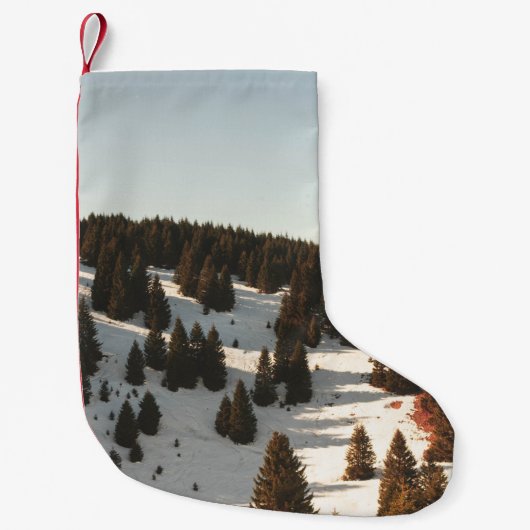 GROENE PIJNBOMEN KLEINE KERSTSOK (Voorkant)