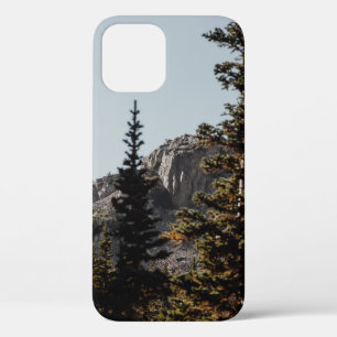 GROENE PIJNBOMEN NAAR HET MEENTAIN TIJDENS DE DAG Case-Mate iPhone CASE