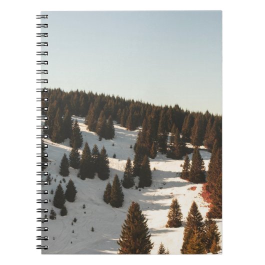 GROENE PIJNBOMEN NOTITIEBOEK (Voorkant)
