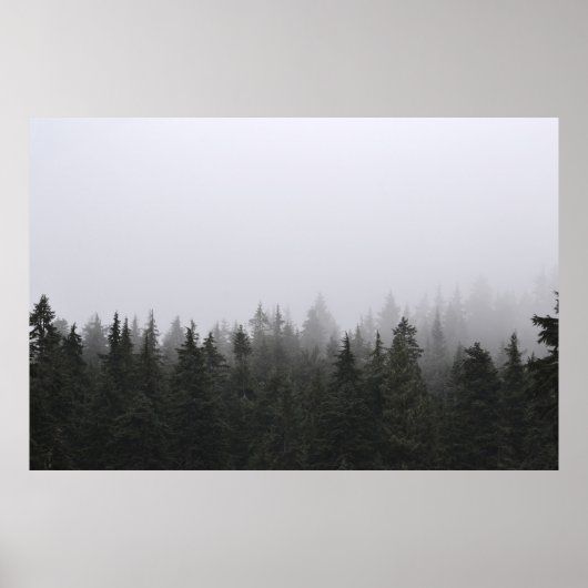 GROENE PIJNBOMEN ONDER WITTE SKY POSTER (Voorkant)