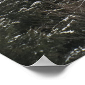 GROENE PIJNBOMEN POSTER (Hoek)