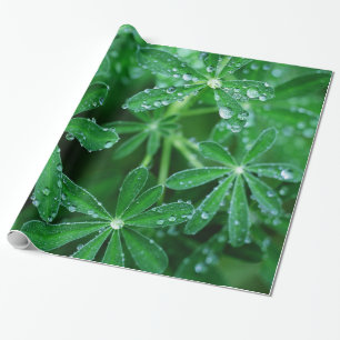 Groene Pinkels van Bladeren met spoelen Cadeaupapier