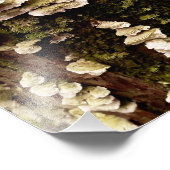 Groene planken foto afdruk (Hoek)