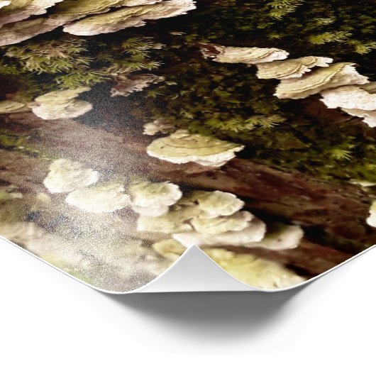 Groene planken foto afdruk (Hoek)