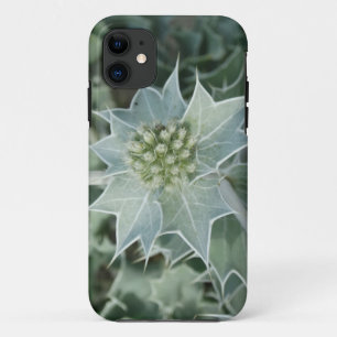 Groene Plant Doorn Zomer iPhone hoesje