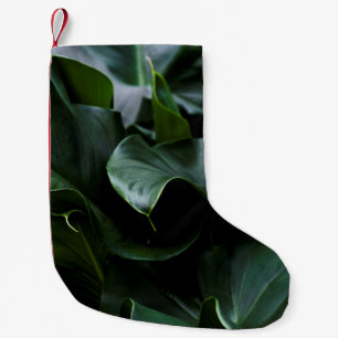 GROENE PLANT KLEINE KERSTSOK