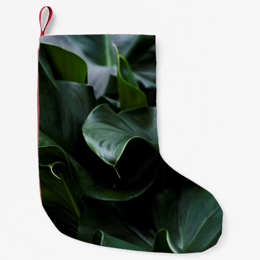 GROENE PLANT KLEINE KERSTSOK (Voorkant)