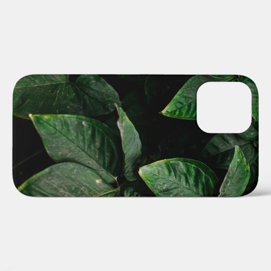 GROENE PLANT OP FOCUS FOTOGRAFIE Case-Mate iPhone CASE (Achterkant (horizontaal))