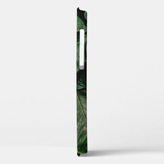 GROENE PLANT OP FOCUS FOTOGRAFIE Case-Mate iPhone CASE (Achterkant / Links)