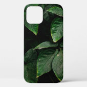 GROENE PLANT OP FOCUS FOTOGRAFIE Case-Mate iPhone CASE (Achterkant)
