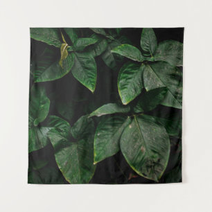 GROENE PLANT OP FOCUS FOTOGRAFIE WANDKLEED