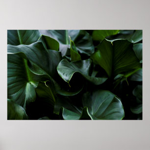 GROENE PLANT POSTER