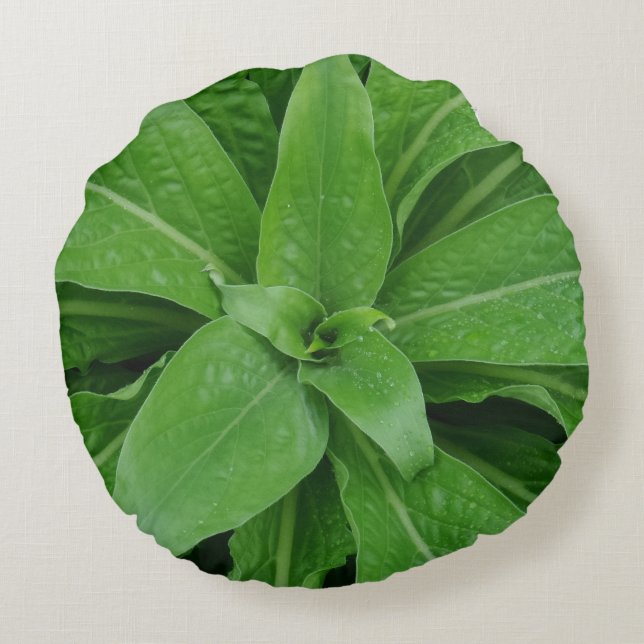 Groene Plant rondreis Rond Kussen (Achterkant)