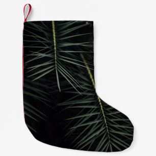 GROENE PLANT TIJDENS DE NACHTTIJD KLEINE KERSTSOK