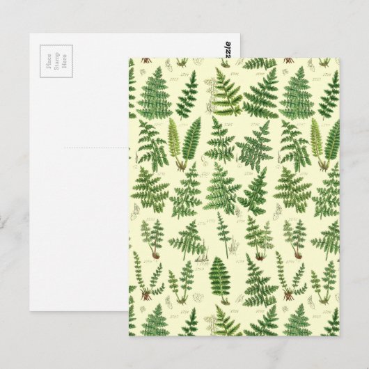  groene Planten Briefkaart (Voorkant / Achterkant)
