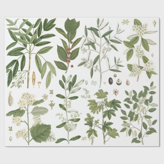  groene Planten Cadeaupapier (Vlak)